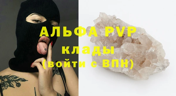 индика Богданович