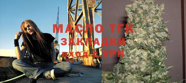 2c-b Бородино