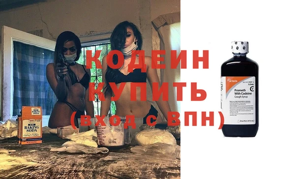 2c-b Бородино