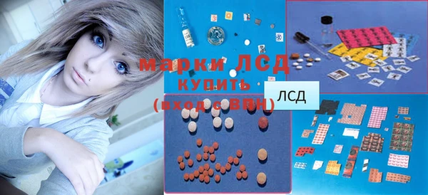 2c-b Бородино