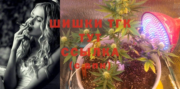 индика Богданович